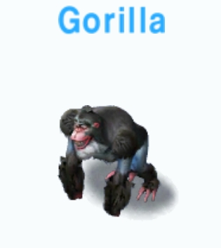 Gorilla           